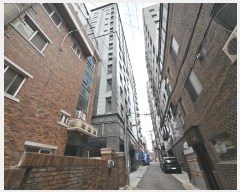  2025Ÿ��51562  �ټ���(����)���