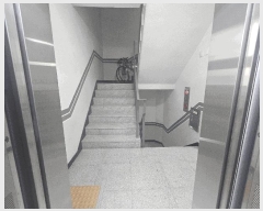  2025Ÿ��51562  �ټ���(����)���