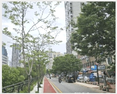  2025Ÿ��51595 ���� ������ ��սʸ��� 12-47 û�輾Ʈ��ť�� 9��904ȣ     �ټ���,������