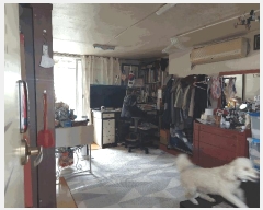  2025Ÿ��51684 ���� ������ ���ǵ� 239-43       ���ð��