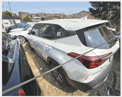  2025Ÿ��50234 ���� ������ ���̵� 589 ����������      �������