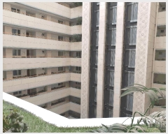  2025Ÿ��51194  ����Ʈ���