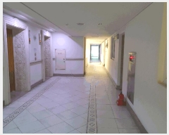  2025Ÿ��51194  ����Ʈ���