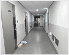  2025Ÿ��51216 ���� ������ �浿 457-1 ���������Ʈ  2��206ȣ    ���ǽ��ڰ��