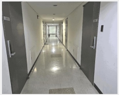  2025Ÿ��51281 ���� ���ı� ������ 620 ����Ǫ��������Ƽ  13��1391ȣ    ���ǽ��ڰ��