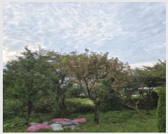  2025Ÿ��400  �������