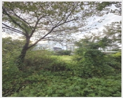  2025Ÿ��400  �������