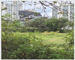  2025Ÿ��400  �������