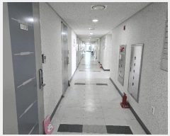  2025Ÿ��51202  ���ǽ��ڰ��