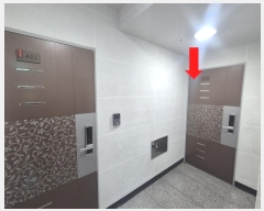  2025Ÿ4142  α 17ٱ 49, 4 402ȣ (, 콺Ʈ)   ټ,