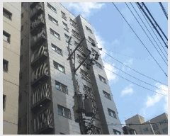  2025Ÿ8588   ȭ 936-5 9 901ȣ     ǽڰ