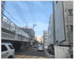  2025Ÿ8961  õ  499-31 ȭþ 1 5 501ȣ   ټ,