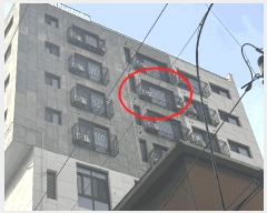  2025Ÿ9715  õ 굿 1006-124 ũ 8 803ȣ    ټ,