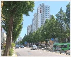  2025Ÿ��10194  ���ǽ��ڰ��