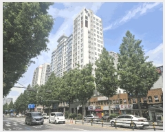  2025Ÿ10201   ȭ 981-3 Ÿ  17 1702ȣ   ǽڰ