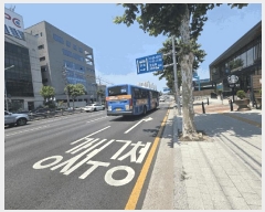  2025Ÿ��10384  ���ǽ��ڰ��