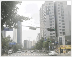  2025Ÿ��10560  ���ǽ��ڰ��