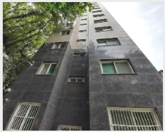  2025Ÿ��11052  ���ǽ��ڰ��