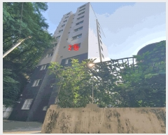  2025Ÿ��11052  ���ǽ��ڰ��