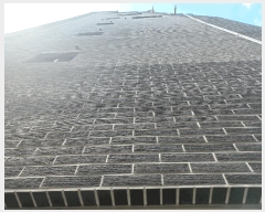  2025Ÿ��11182  �ټ���(����)���