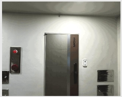  2025Ÿ��11323  �ټ���(����)���