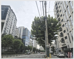  2025Ÿ��11381 ���� ������ ��â�� 246-9 ����������Ÿ��  ��7�� ��704ȣ   �ټ���,������