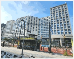  2025Ÿ��11419  ���ǽ��ڰ��