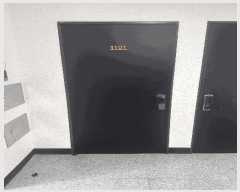  2025Ÿ��11684  �ټ���(����)���