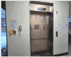  2025Ÿ��11736  �ټ���(����)���