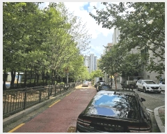  2025Ÿ��11804  ���ǽ��ڰ��