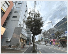  2025Ÿ��11895 ���� ������ ȭ� 779-9 �������� ��5�� ��504ȣ    ���ǽ��ڰ��