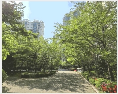  2025Ÿ9679   ȭ 1165 Ʈ 137 11 1104ȣ   Ʈ