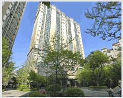  2025Ÿ9679   ȭ 1165 Ʈ 137 11 1104ȣ   Ʈ