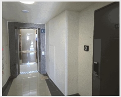  2025Ÿ9679   ȭ 1165 Ʈ 137 11 1104ȣ   Ʈ