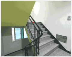  2025Ÿ��9988  �ټ���(����)���