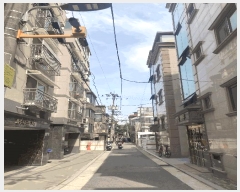  2025Ÿ��10313 ���� �������� �븲�� 906-56       �ٰ������ð��