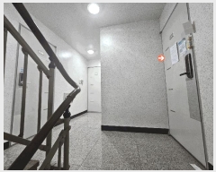  2025Ÿ��13295 ���� ���α� ��ô�� 241-57 �����׸��� ��3�� ��303ȣ    �ټ���,������