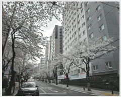  2025Ÿ��9481  ���ǽ��ڰ��