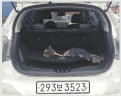  2025Ÿ��9985  �������