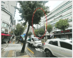  2025Ÿ��10935  ���ǽ��ڰ��