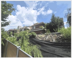  2025Ÿ11331   븲 990-73       ()