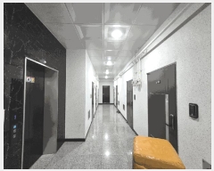  2025Ÿ11630  õ 굿 151-3 ü 4 405ȣ    ǽڰ