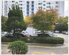  2025Ÿ��12654 ���� �������� �븲�� 858-18       �ܵ�����,�����ð��