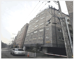  2025Ÿ��6896  �ټ���(����)���