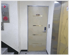  2025Ÿ��8339  �ټ���(����)���