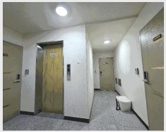  2025Ÿ��8339  �ټ���(����)���