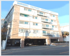  2025Ÿ8688   ȭ 155-32 غġ 2 201ȣ    ټ,