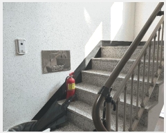  2025Ÿ9029  α ô 48-10 ĳ 4 402ȣ    ټ,