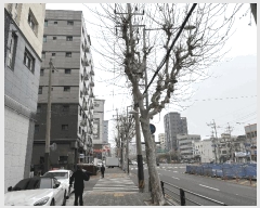  2025Ÿ��9499  �ټ���(����)���