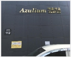  2025Ÿ9766   ȭ 918-1 ٸ 9 903ȣ    ǽڰ